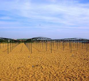 Inspirationen an d.Strandprom.entlang Nov.2010