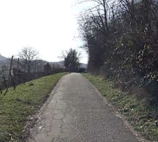 Wanderung Florianrunde