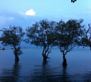 Railay Ost