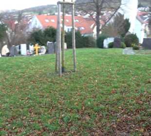Friedhof Glems