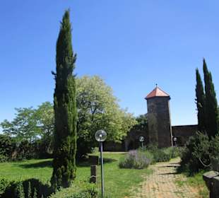Burgschenke Burg Battenberg