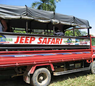 Unser Jeep