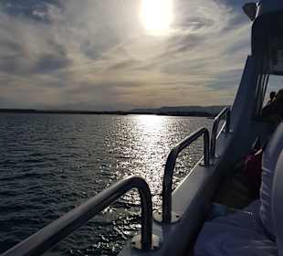 Schnorcheln El Gouna