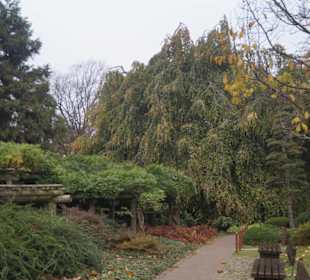 Parkanlage Planten un Blomen