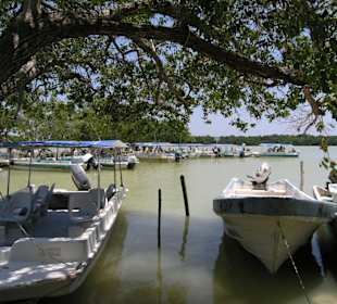 Bootsanlegestelle in Celestun