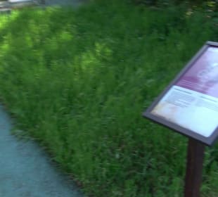 Seegarten-Anlage / Kurfürsten-Anlage