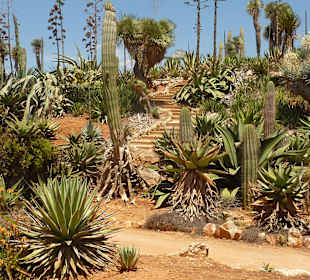 Bequeme Treppen im Botanicactus