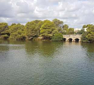 Naturpark S'Albufera
