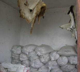 Dörferfahrt Vorratskammer mit Tierfell