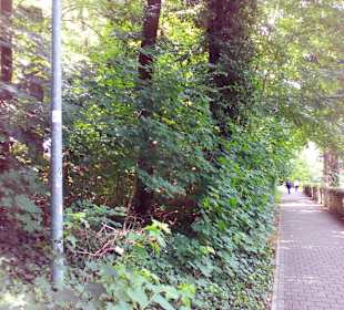 Glan-Blies-Rad- und Wanderweg in Homburg