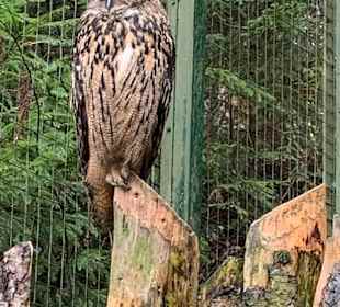 Bayerwald-Tierpark Lohberg