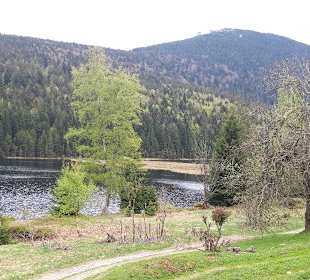 Kleiner Arbersee