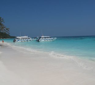 Ausflug nach Tachai Island traumhaft