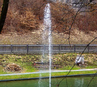 Springbrunnen groß Forellenzucht