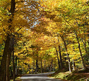 Straße zum Mount Washington im unteren Teil