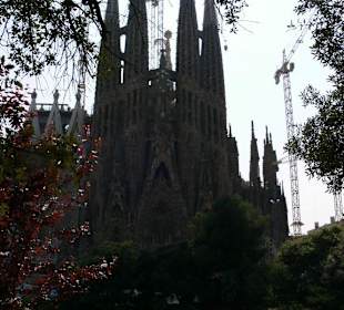 Sagrada