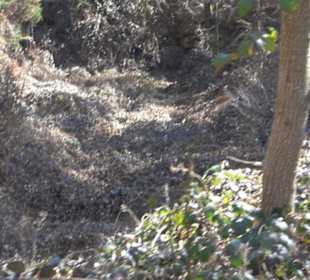 Historischer Rundwanderweg Aichtal