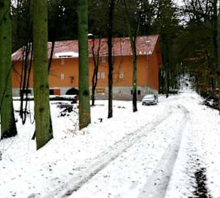 Mitte Dezember 2010 zu Gast