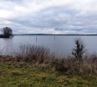 Der Altmühlsee