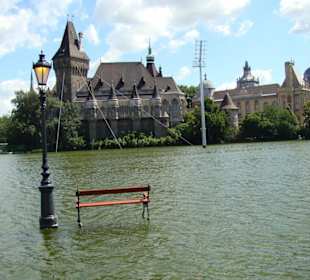 Zespół zamkowy w parku miejskim