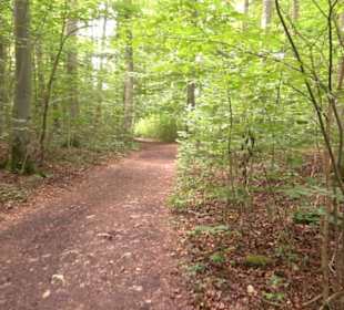 Hochgeträumt Premiumwanderung