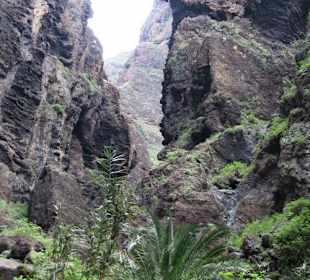 Im Barranco de Masca