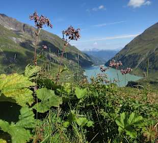 Stausee Wasserfallboden