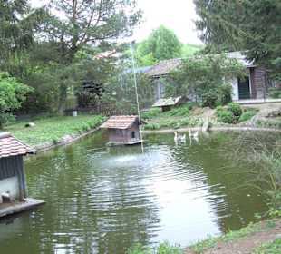 Tierpark Vogelhäusel Rauenberg