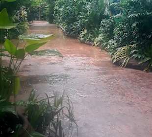 Singapur Zoo