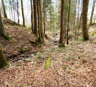 Tegernseer Höhenweg
