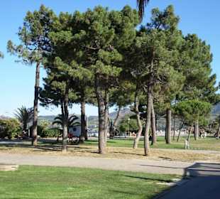 Spaziergang über die Strandpromenade Argelès-Plage
