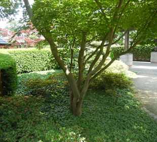 Parkanlage Planten un Blomen