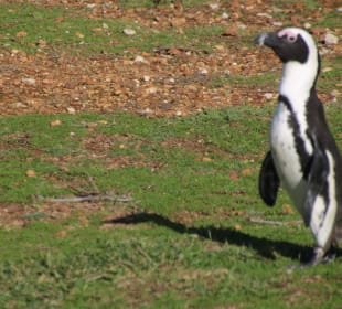 ....zum Ausruhen unterwegs