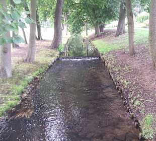 Palmiarnia Park Oliwski