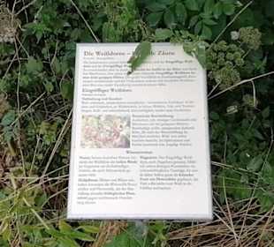 Schaugarten Eninger Weide