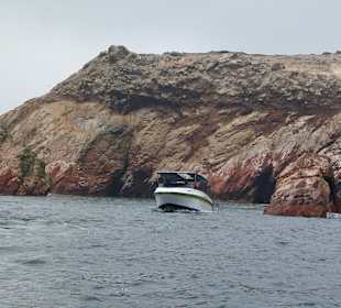 Ausflug Ballestas Inseln