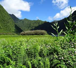 Impressionen vom Grand Étang