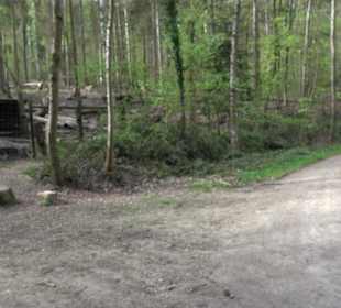 Walderlebnisweg Rottenburg