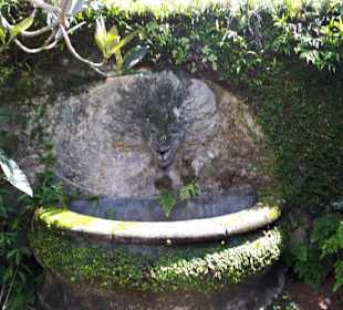 Ein Bad unter freiem Himmel im Brief Garden