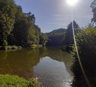 Paddelsee in Hauenstein