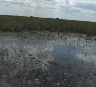 Unterwegs mit dem Airboat