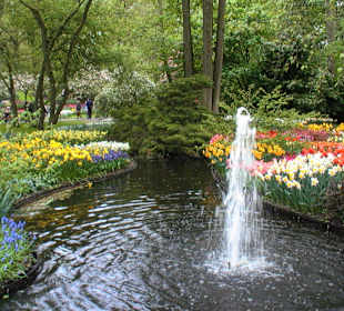 Relaks w Keukenhof