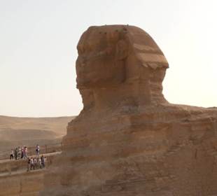 Der Sphinx