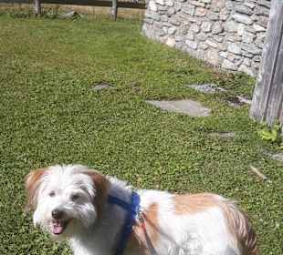 Wandern Bad Hofgastein