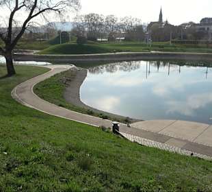 Inselsee Stuttgart