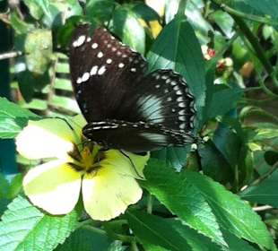 Mittendrin statt nur dabei 