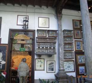 VIP Safari Tour mit Minibussen