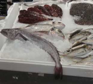 Metro Toptancı Market Alanya