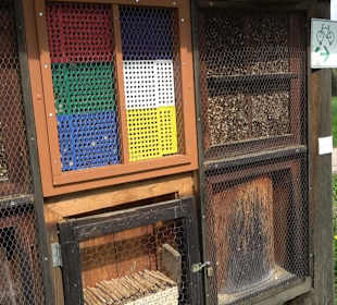 Naturerlebnisweg des NABU-Metzingen