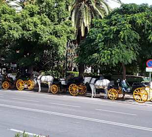 Stadtrundfahrt Malaga